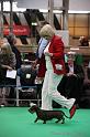 Crufts2011_2 1466